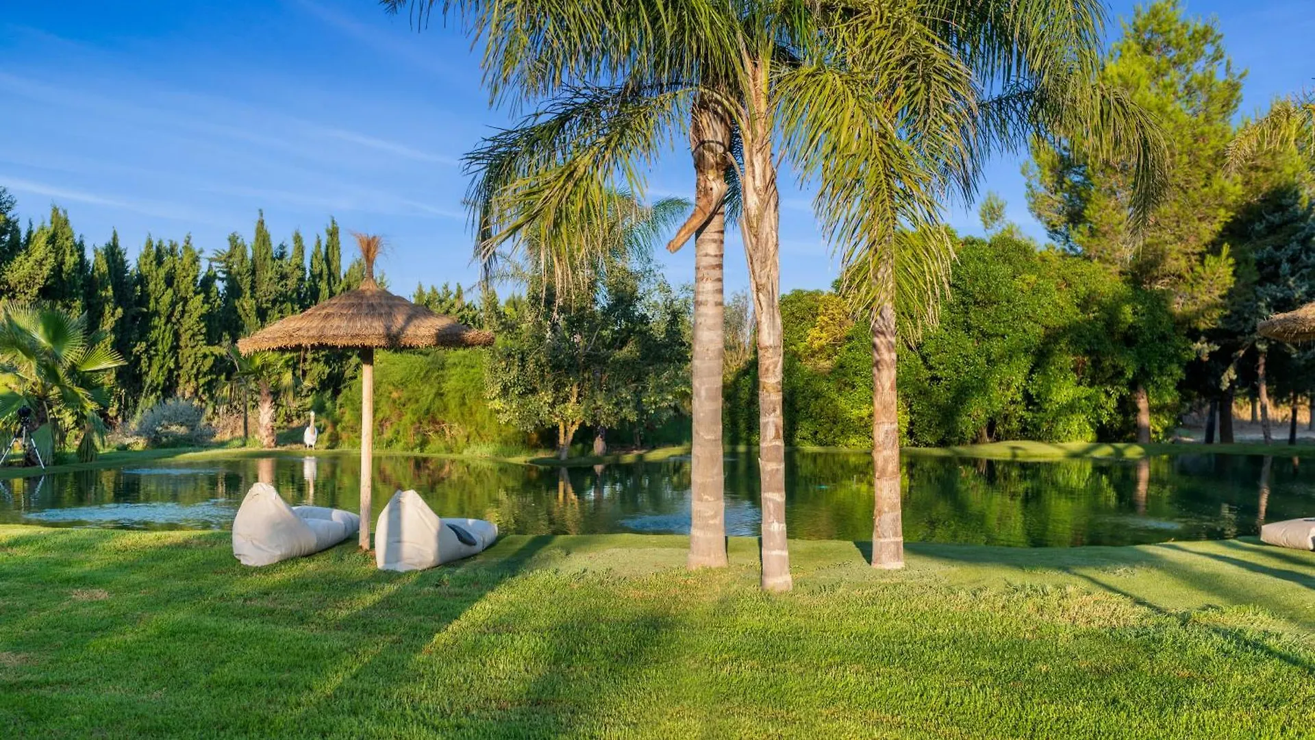 Finca Passion Near Palma Montuiri  Διαμέρισμα Montuiri (Mallorca)